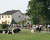 Bild vergrössen