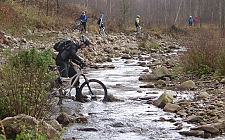 Bild vergrößern
