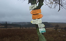 Bild vergrößern Bild vergrößern